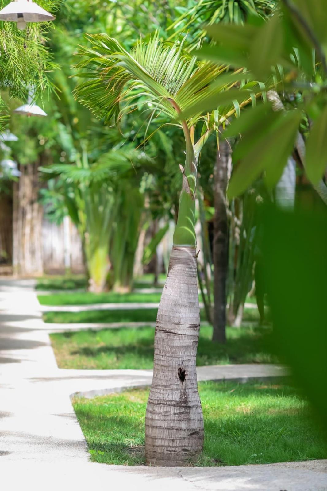 Diversia Diving Club & Bungalows Gili Trawangan Exterior photo